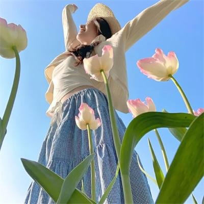 驯鹿大冒险：超越北极光