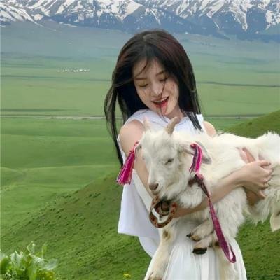 永不退缩：决不放弃